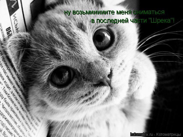 ну возьмииииите меня сниматься в последней части "Шрека"!... Котоматрица: ну возьмииииите меня сниматься в последней части "Шрека"!
