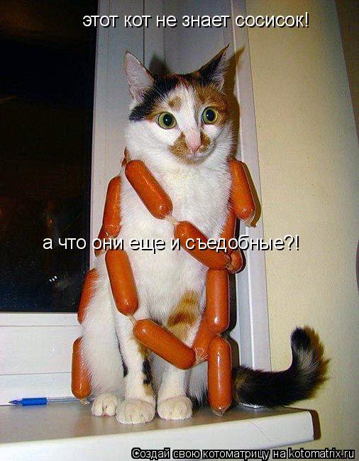 а что они еще и съедобные?! этот кот не знает сосисок!... Котоматрица: а что они еще и съедобные?! этот кот не знает сосисок!