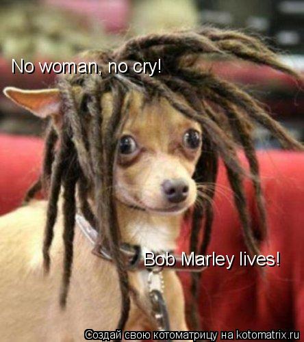No woman, no cry! Bob Marley lives!... Котоматрица: No woman, no cry! Bob Marley lives!