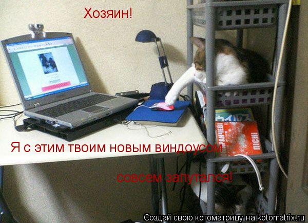 Хозяин! Я с этим твоим новым виндоусом совсем запутался!... Котоматрица: Хозяин! Я с этим твоим новым виндоусом совсем запутался!