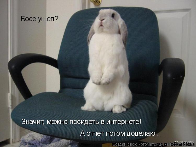 Босс ушел? Значит, можно посидеть в интернете! А отчет потом доделаю...... Котоматрица: Босс ушел? Значит, можно посидеть в интернете! А отчет потом доделаю...