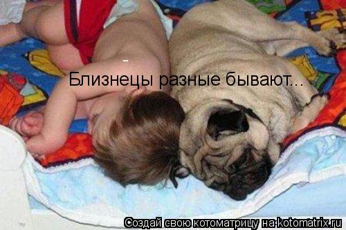 Близнецы разные бывают...... Котоматрица: Близнецы разные бывают...