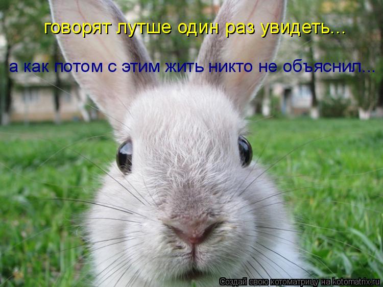 говорят лутше один раз увидеть... а как потом с этим жить никто не объяснил...... Котоматрица: говорят лутше один раз увидеть... а как потом с этим жить никто не объяснил...