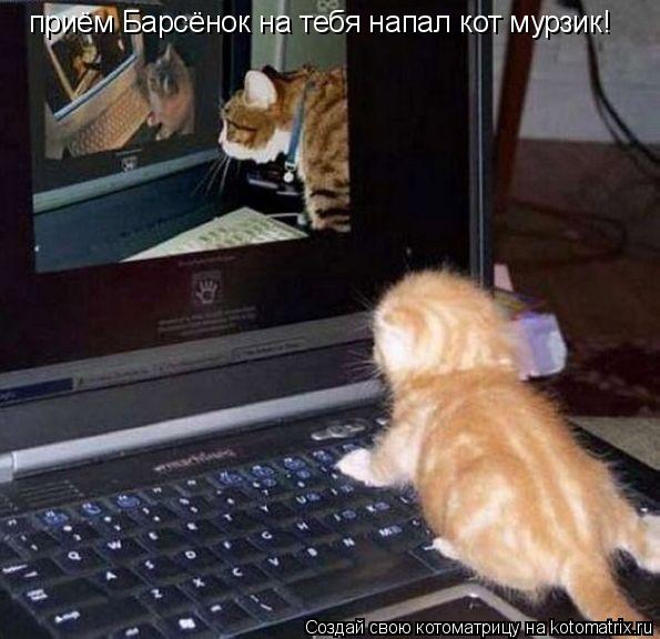 приём Барсёнок на тебя напал кот мурзик!... Котоматрица: приём Барсёнок на тебя напал кот мурзик!