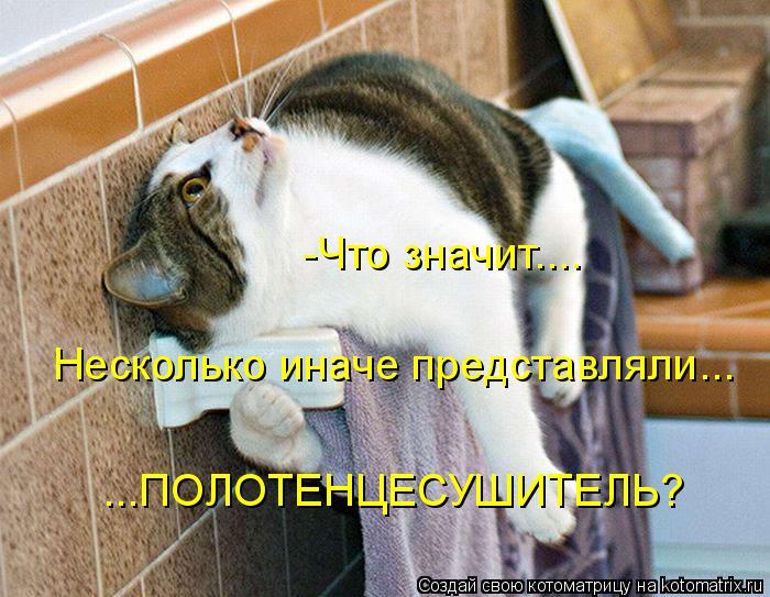 -Что значит.... Несколько иначе представляли... ...ПОЛОТЕНЦЕСУШИТЕЛЬ?... Котоматрица: -Что значит.... Несколько иначе представляли... ...ПОЛОТЕНЦЕСУШИТЕЛЬ?