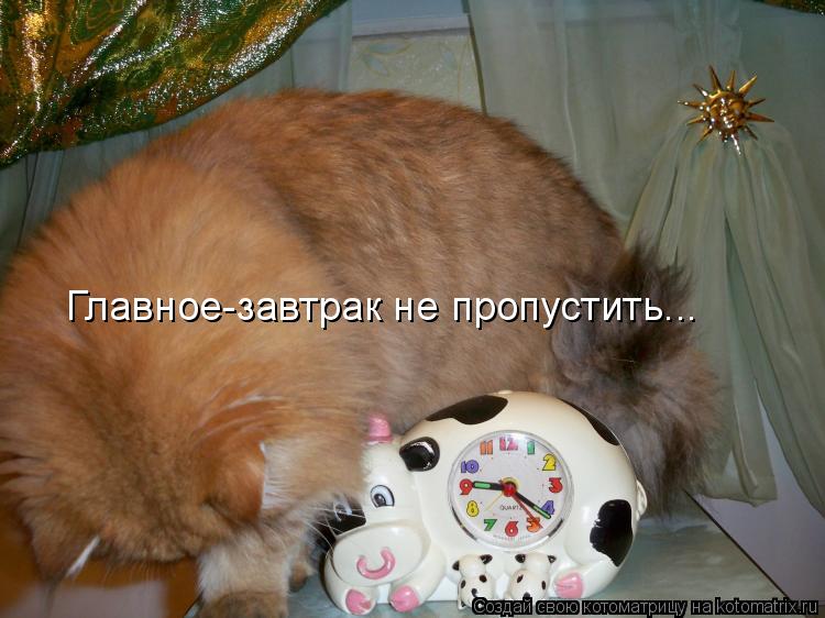 Главное-завтрак не пропустить...... Котоматрица: Главное-завтрак не пропустить...