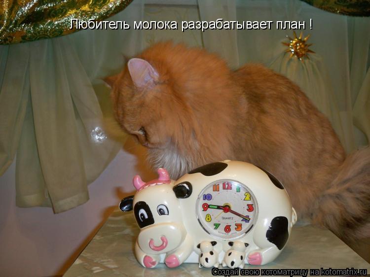 Любитель молока разрабатывает план !... Котоматрица: Любитель молока разрабатывает план !