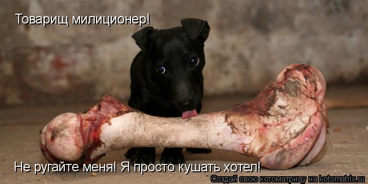 Товарищ милиционер! Не ругайте меня! Я просто кушать хотел!... Котоматрица: Товарищ милиционер! Не ругайте меня! Я просто кушать хотел!