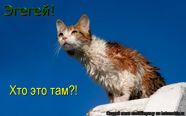 Эгегей! Эгегей! Эгегей! Эгегей! Хто это там?!... Котоматрица: Эгегей! Эгегей! Эгегей! Эгегей! Хто это там?!