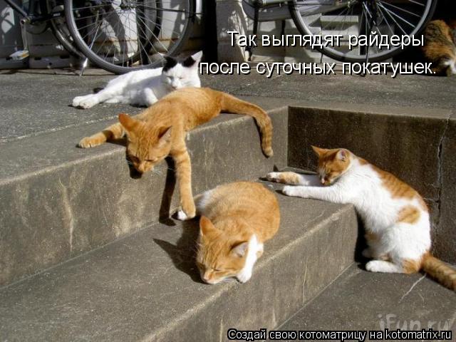 Так выглядят райдеры после суточных покатушек.... Котоматрица: Так выглядят райдеры после суточных покатушек.