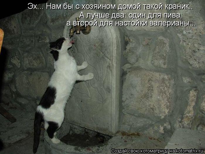 Эх... Нам бы с хозяином домой такой краник.. А лучше два: один для пива, а второй для настойки валер... Котоматрица: Эх... Нам бы с хозяином домой такой краник.. А лучше два: один для пива, а второй для настойки валерианы...