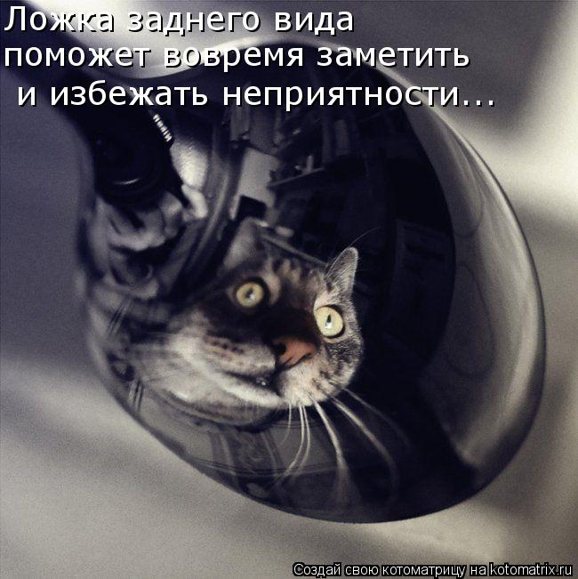 Ложка заднего вида поможет вовремя заметить и избежать неприятности...... Котоматрица: Ложка заднего вида поможет вовремя заметить и избежать неприятности...