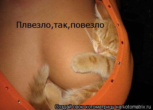 Плвезло,так,повезло... Котоматрица: Плвезло,так,повезло