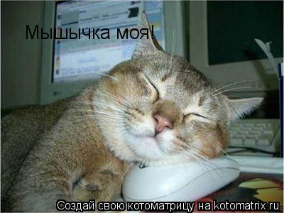 Мышычка моя!... Котоматрица: Мышычка моя!