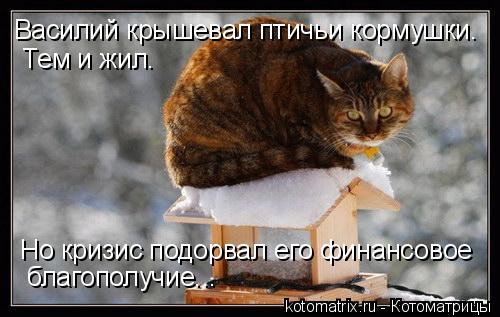 Василий крышевал птичьи кормушки. Тем и жил. Но кризис подорвал его финансовое благополучие...... Котоматрица: Василий крышевал птичьи кормушки. Тем и жил. Но кризис подорвал его финансовое благополучие...