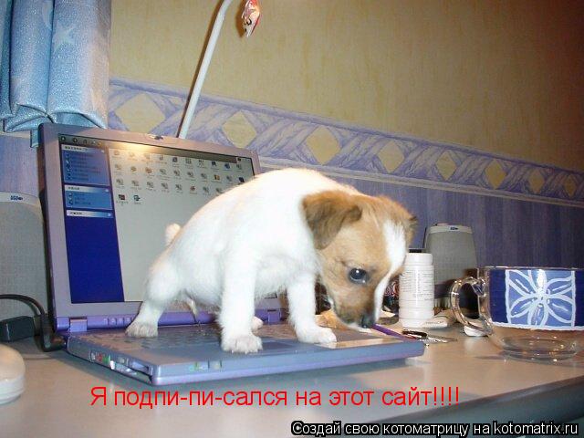 Я подпи-пи-сался на этот сайт!!!!... Котоматрица: Я подпи-пи-сался на этот сайт!!!!