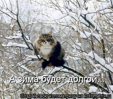 А зима будет долгой...... Котоматрица: А зима будет долгой...