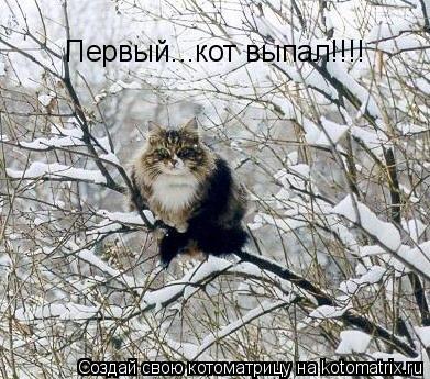 Первый...кот выпал!!!!... Котоматрица: Первый...кот выпал!!!!