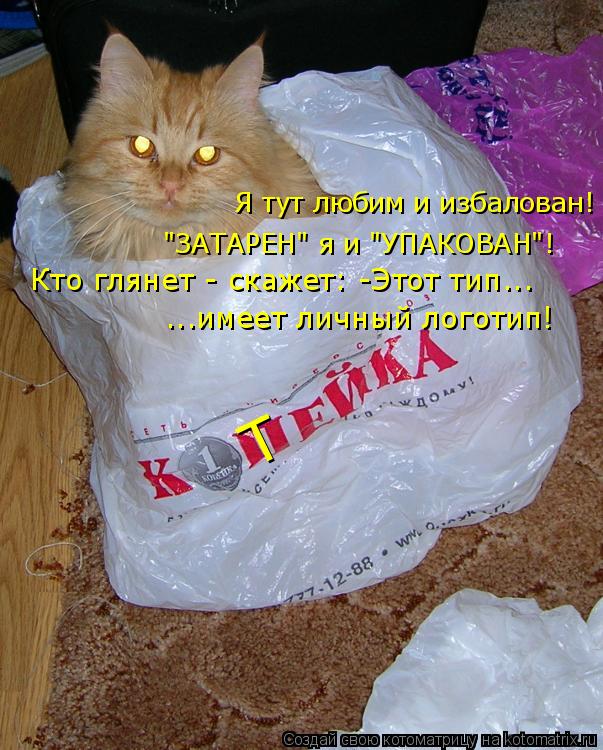 Т Я тут любим и избалован! "ЗАТАРЕН" я и "УПАКОВАН"! Кто глянет - скажет: -Этот тип... ...имеет личны... Котоматрица: Т Я тут любим и избалован! "ЗАТАРЕН" я и "УПАКОВАН"! Кто глянет - скажет: -Этот тип... ...имеет личный логотип!