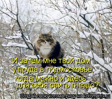 И зачем мне твой дом у пруда в подмосковье, когда можно и здесь для себя свить гнездо?... Котоматрица: И зачем мне твой дом у пруда в подмосковье, когда можно и здесь для себя свить гнездо?
