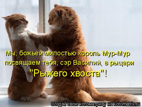 "Рыжего хвоста"! Мы, божьей милостью король Мур-Мур посвящаем тебя, сэр Василий, в рыцари... Котоматрица: "Рыжего хвоста"! Мы, божьей милостью король Мур-Мур посвящаем тебя, сэр Василий, в рыцари