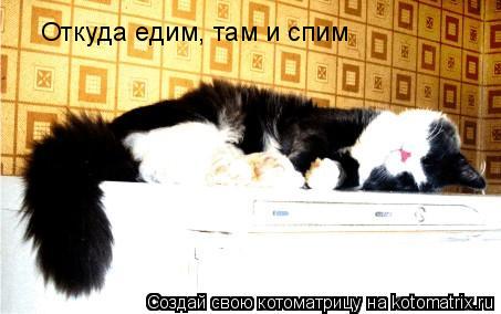Откуда едим, там и спим... Котоматрица: Откуда едим, там и спим