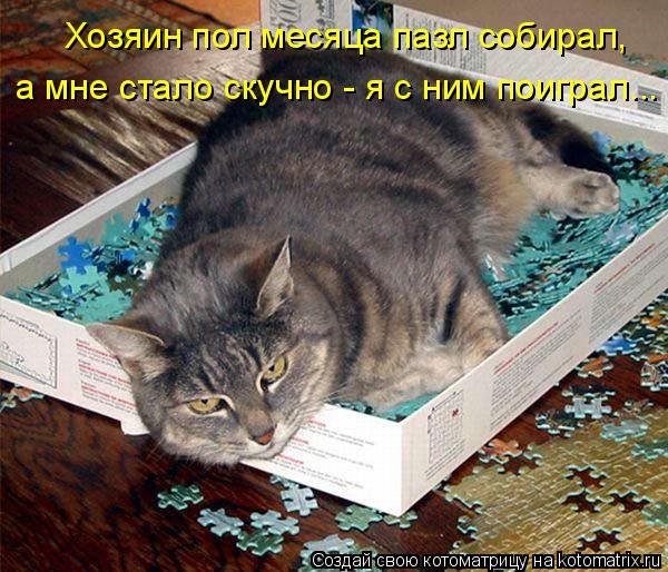 Хозяин пол месяца пазл собирал, а мне стало скучно - я с ним поиграл...... Котоматрица: Хозяин пол месяца пазл собирал, а мне стало скучно - я с ним поиграл...