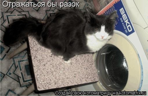 Отражаться бы разок... Котоматрица: Отражаться бы разок