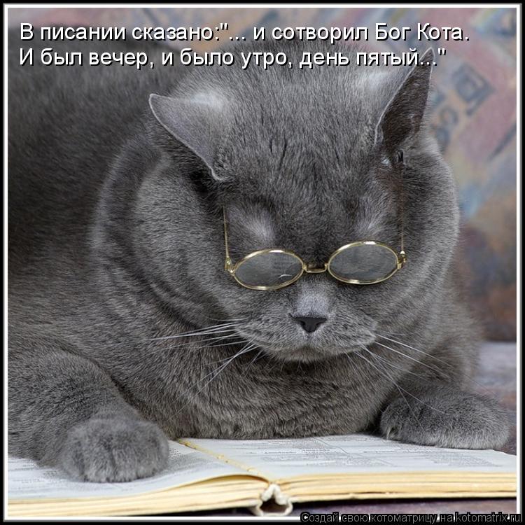 В писании сказано:"... и сотворил Бог Кота. И был вечер, и было утро, день пятый..."... Котоматрица: В писании сказано:"... и сотворил Бог Кота. И был вечер, и было утро, день пятый..."