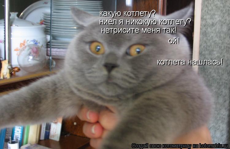 какую котлету? ниел я никокую котлету? нетрисите меня так! ой! котлета нашлась!... Котоматрица: какую котлету? ниел я никокую котлету? нетрисите меня так! ой! котлета нашлась!