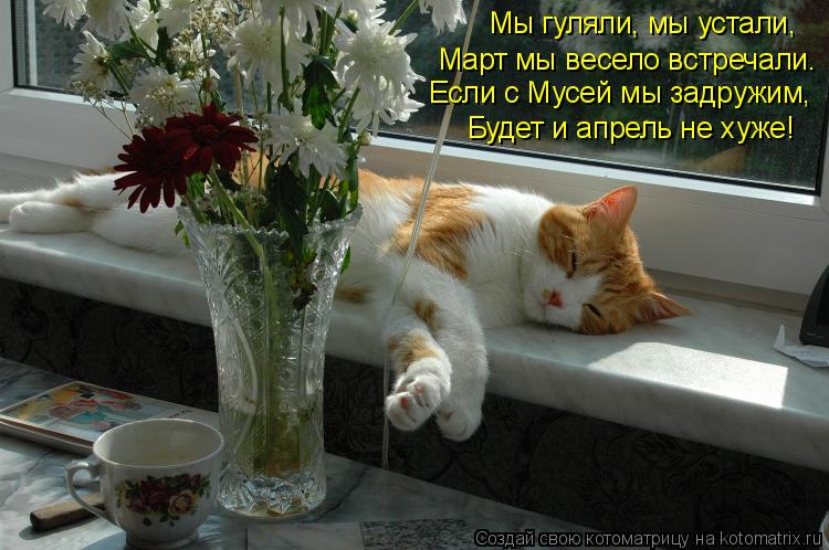 Котоматрица: Мы гуляли, мы устали, Март мы весело встречали. Если с Мусей мы задружим, Будет и апрель не хуже!