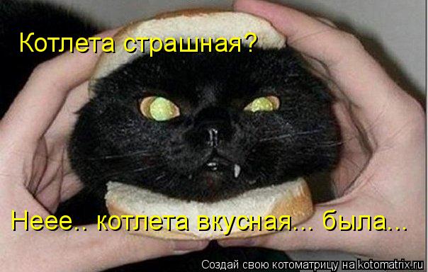 Котлета страшная? Неее.. котлета вкусная... была...... Котоматрица: Котлета страшная? Неее.. котлета вкусная... была...