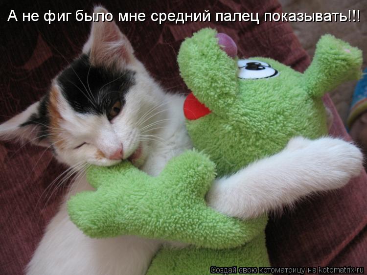 А не фиг было мне средний палец показывать!!!... Котоматрица: А не фиг было мне средний палец показывать!!!
