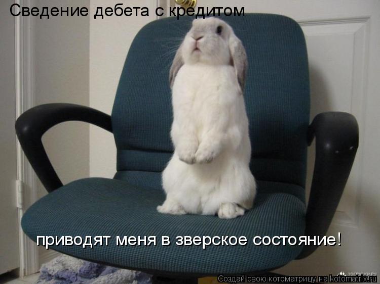Сведение дебета с кредитом приводят меня в зверское состояние!... Котоматрица: Сведение дебета с кредитом приводят меня в зверское состояние!