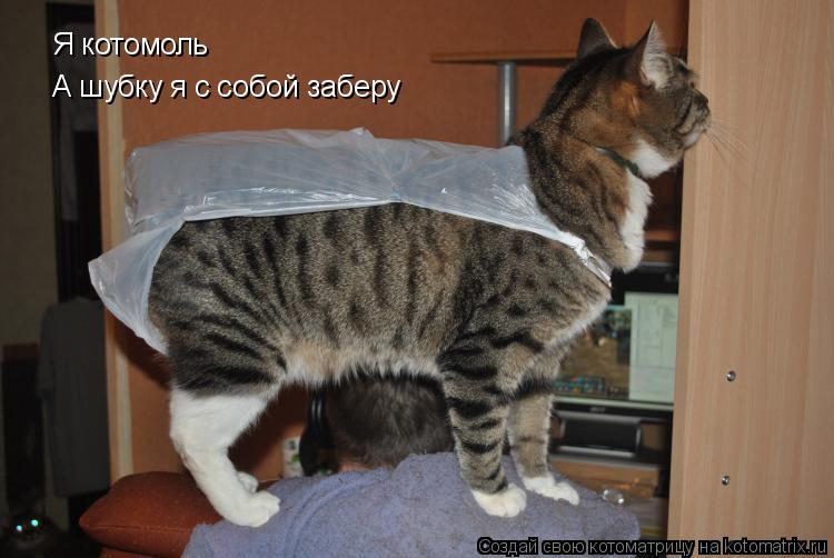 Я котомоль
А шубку я с собой заберу... Котоматрица: Я котомоль
А шубку я с собой заберу