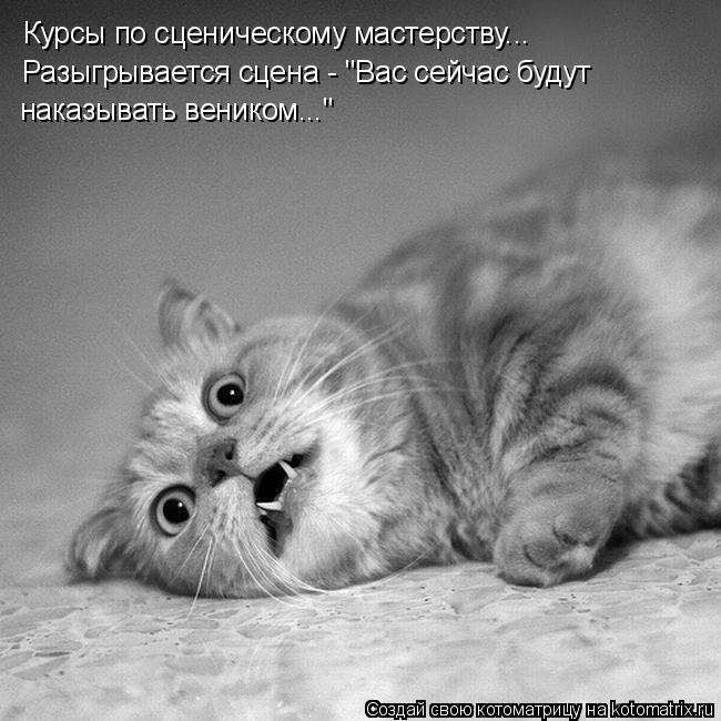 Курсы по сценическому мастерству... Разыгрывается сцена - "Вас сейчас будут наказывать веником..."... Котоматрица: Курсы по сценическому мастерству... Разыгрывается сцена - "Вас сейчас будут наказывать веником..."