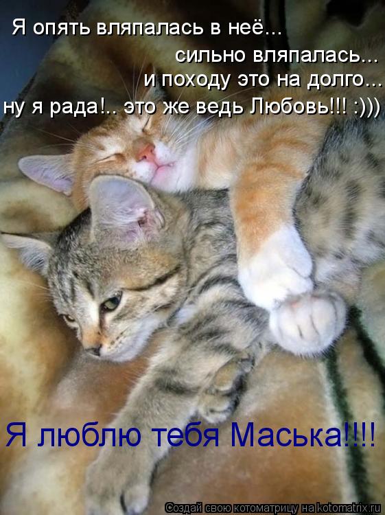 Я опять вляпалась в неё... сильно вляпалась... и походу это на долго... ну я рада!.. это же ведь Люб... Котоматрица: Я опять вляпалась в неё... сильно вляпалась... и походу это на долго... ну я рада!.. это же ведь Любовь!!! :))) Я люблю тебя Маська!!!!