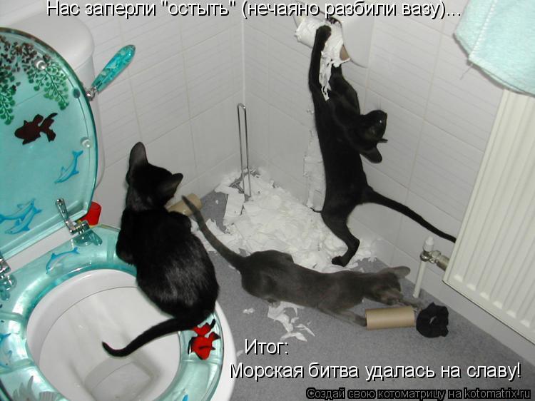 Котоматрица: Нас заперли "остыть" (нечаяно разбили вазу)... Итог: Морская битва удалась на славу!
