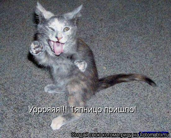 Уррряяя!!! Тяпницо пришло!... Котоматрица: Уррряяя!!! Тяпницо пришло!