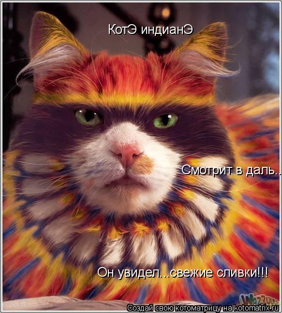 КотЭ индианЭ Смотрит в даль... Он увидел...свежие сливки!!!... Котоматрица: КотЭ индианЭ Смотрит в даль... Он увидел...свежие сливки!!!
