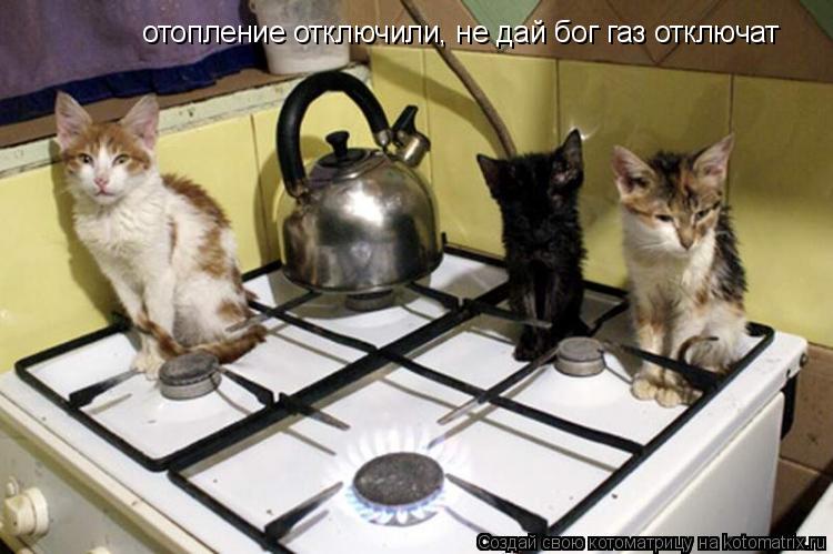 отопление отключили, не дай бог газ отключат... Котоматрица: отопление отключили, не дай бог газ отключат