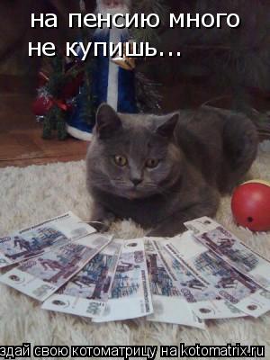 на пенсию много не купишь...... Котоматрица: на пенсию много не купишь...
