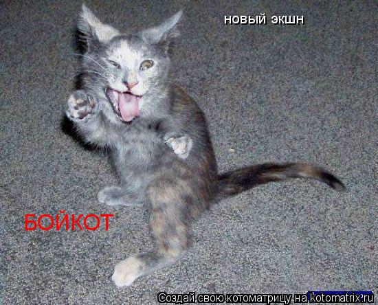 новый экшн БОЙКОТ... Котоматрица: новый экшн БОЙКОТ