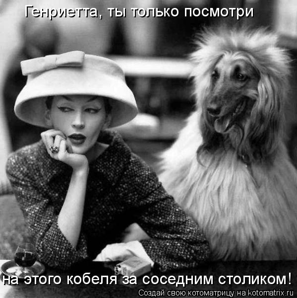 Генриетта, ты только посмотри на этого кобеля за соседним столиком!... Котоматрица: Генриетта, ты только посмотри на этого кобеля за соседним столиком!
