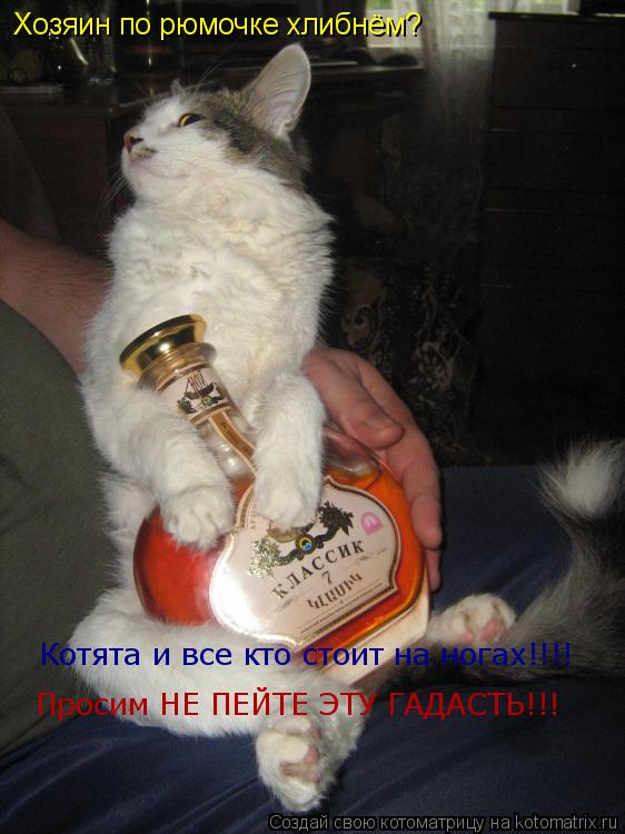 Хозяин по рюмочке хлибнём? Котята и все кто стоит на ногах!!!! Просим НЕ ПЕЙТЕ ЭТУ ГАДАСТЬ!!!... Котоматрица: Хозяин по рюмочке хлибнём? Котята и все кто стоит на ногах!!!! Просим НЕ ПЕЙТЕ ЭТУ ГАДАСТЬ!!!