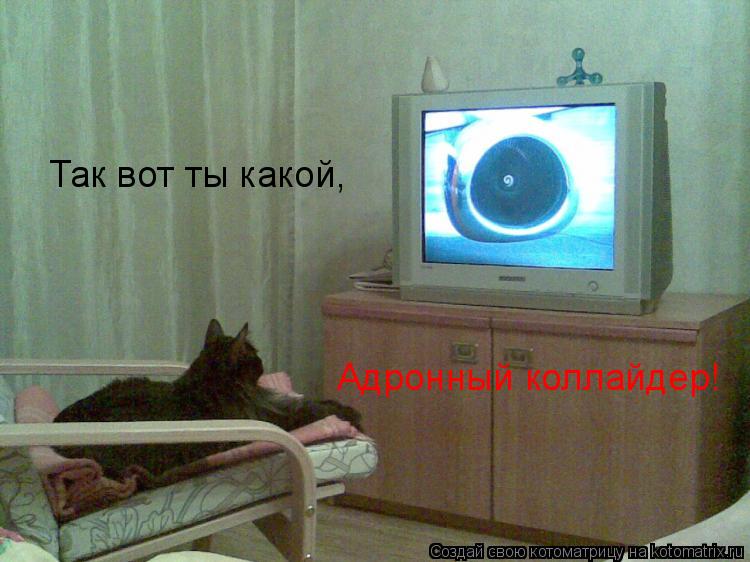 Так вот ты какой, Адронный коллайдер!... Котоматрица: Так вот ты какой, Адронный коллайдер!
