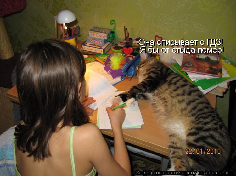 -Она списывает с ГДЗ! Я бы от стыда помер!... Котоматрица: -Она списывает с ГДЗ! Я бы от стыда помер!