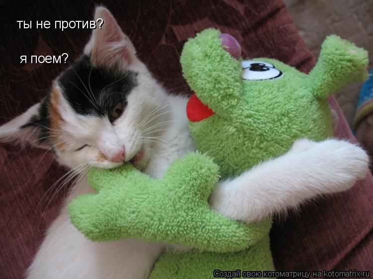 ты не против? ты не против? я поем?... Котоматрица: ты не против? ты не против? я поем?