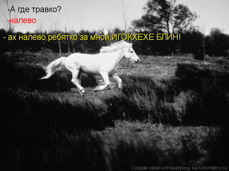 -А где травко? -налево - ах налево,ребятко за мной,ИГОКХЕХЕ БЛИН!... Котоматрица: -А где травко? -налево - ах налево,ребятко за мной,ИГОКХЕХЕ БЛИН!
