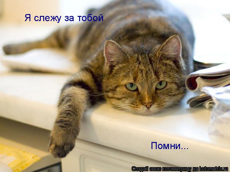 Я слежу за тобой Помни...... Котоматрица: Я слежу за тобой Помни...